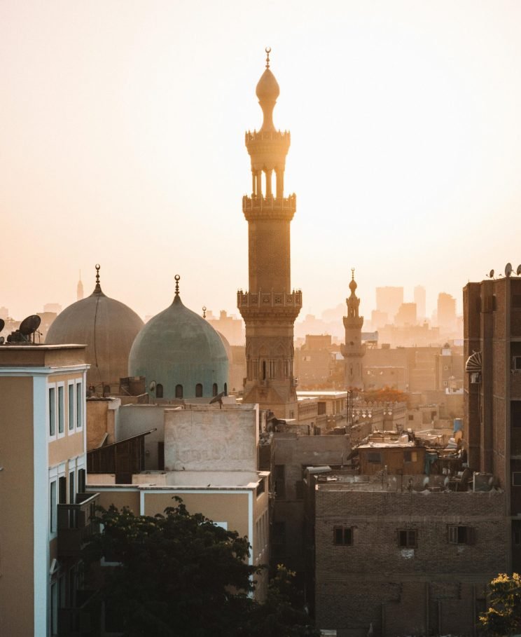 pexels-photo-3290075